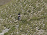 2019-07-06 P. Borghese e Porche 167